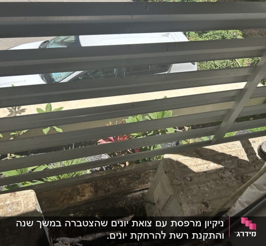 מרפסת מלוכלכת עם עלים ואבק על הרצפה